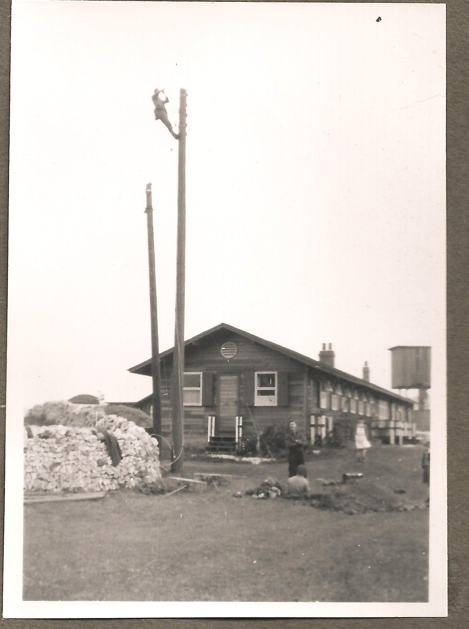 Man up a telephone pole