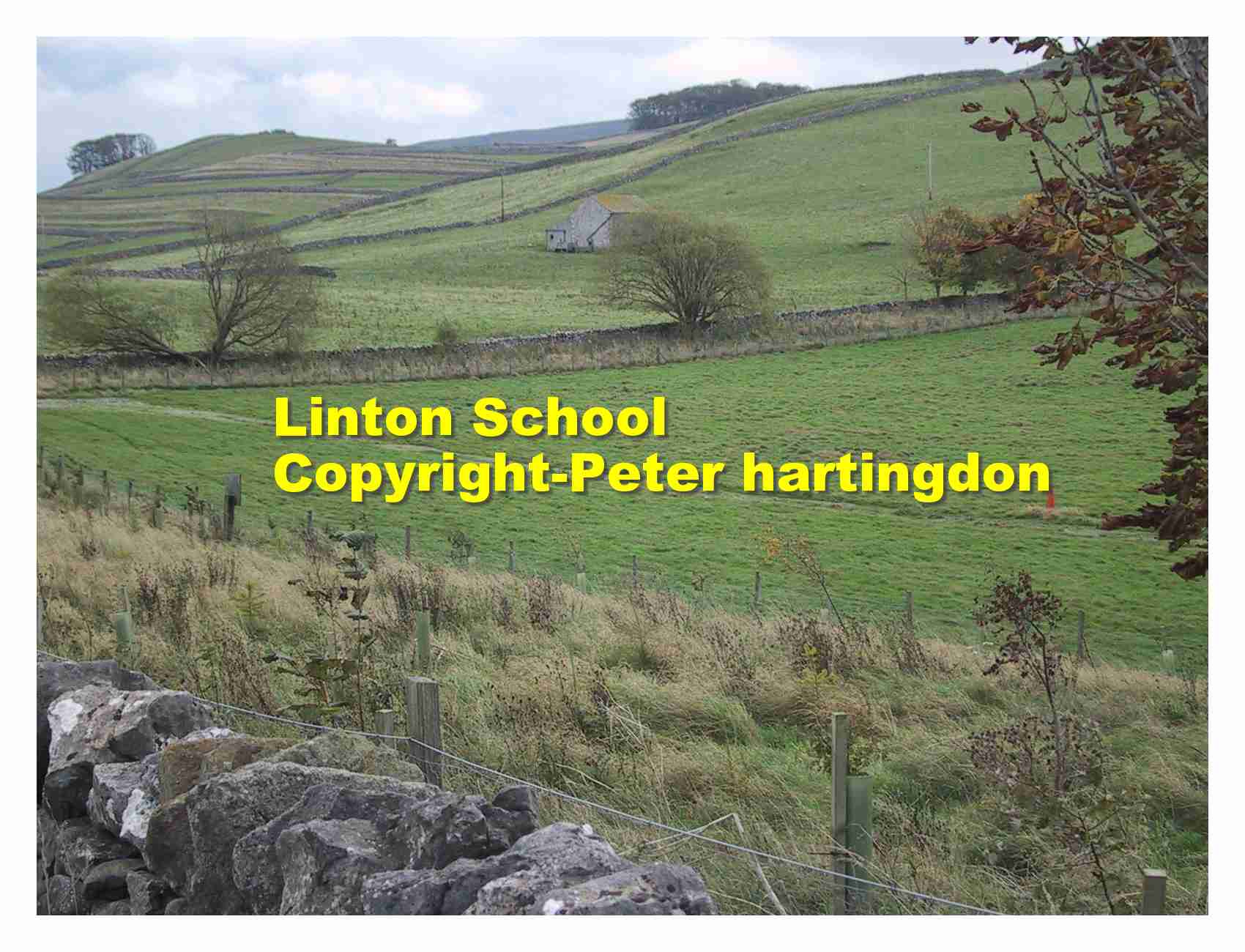 Linton Barn Field